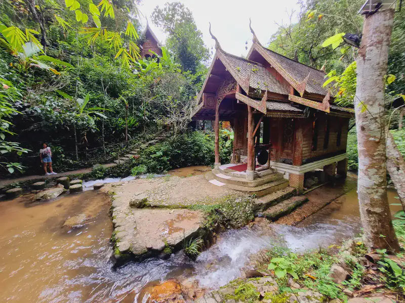 นกและผีเสื้อบนเขา — หมู่บ้านแม่กำปอง Mae Kampong Village เชียงใหม่ ประเทศไทย